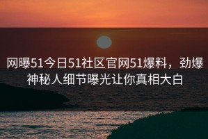网曝51今日51社区官网51爆料，劲爆神秘人细节曝光让你真相大白