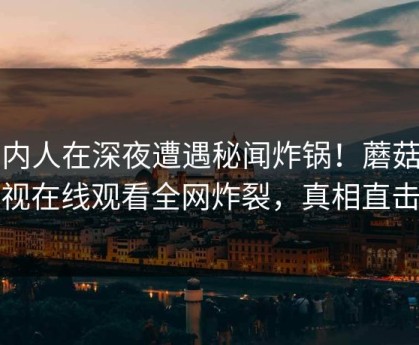圈内人在深夜遭遇秘闻炸锅！蘑菇影视在线观看全网炸裂，真相直击