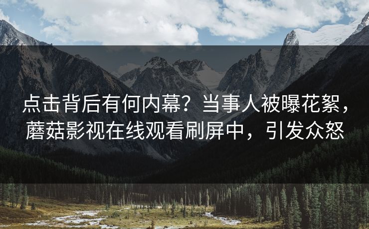 点击背后有何内幕？当事人被曝花絮，蘑菇影视在线观看刷屏中，引发众怒