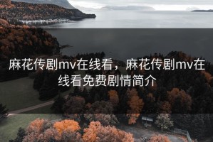 麻花传剧mv在线看，麻花传剧mv在线看免费剧情简介