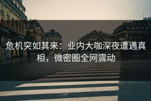 危机突如其来：业内大咖深夜遭遇真相，微密圈全网震动