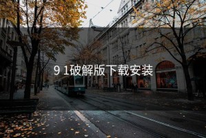 9 1破解版下载安装