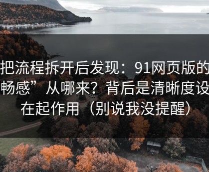 我把流程拆开后发现：91网页版的“顺畅感”从哪来？背后是清晰度设置在起作用（别说我没提醒）