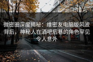 微密圈深度揭秘：维密友电脑版风波背后，神秘人在酒吧后巷的角色罕见令人意外