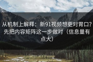 从机制上解释：新91视频想更对胃口？先把内容矩阵这一步做对（信息量有点大）