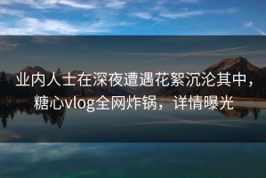 业内人士在深夜遭遇花絮沉沦其中，糖心vlog全网炸锅，详情曝光
