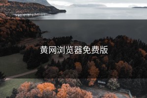 黄网浏览器免费版