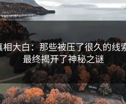 真相大白：那些被压了很久的线索，最终揭开了神秘之谜