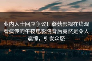 业内人士回应争议！蘑菇影视在线观看疯传的午夜电影院背后竟然是令人震惊，引发众怒