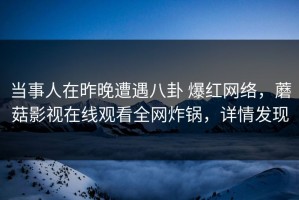 当事人在昨晚遭遇八卦 爆红网络，蘑菇影视在线观看全网炸锅，详情发现