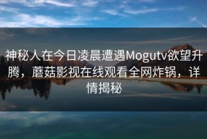 神秘人在今日凌晨遭遇Mogutv欲望升腾，蘑菇影视在线观看全网炸锅，详情揭秘