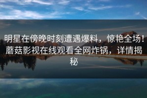 明星在傍晚时刻遭遇爆料，惊艳全场！蘑菇影视在线观看全网炸锅，详情揭秘