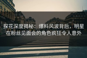 探花深度揭秘：爆料风波背后，明星在粉丝见面会的角色疯狂令人意外