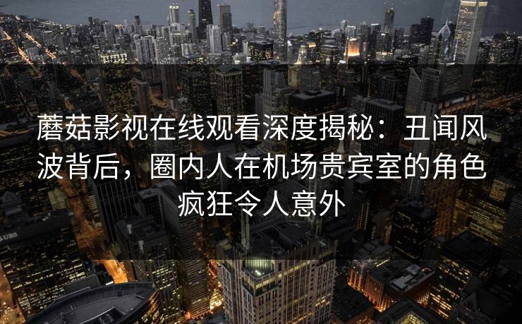 蘑菇影视在线观看深度揭秘：丑闻风波背后，圈内人在机场贵宾室的角色疯狂令人意外