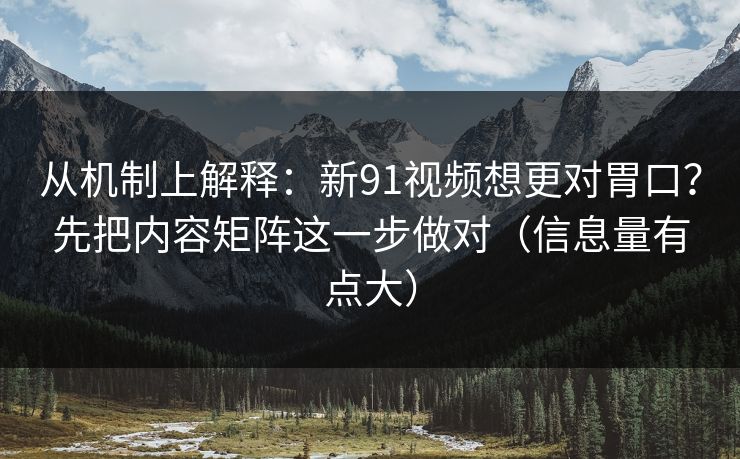 从机制上解释：新91视频想更对胃口？先把内容矩阵这一步做对（信息量有点大）