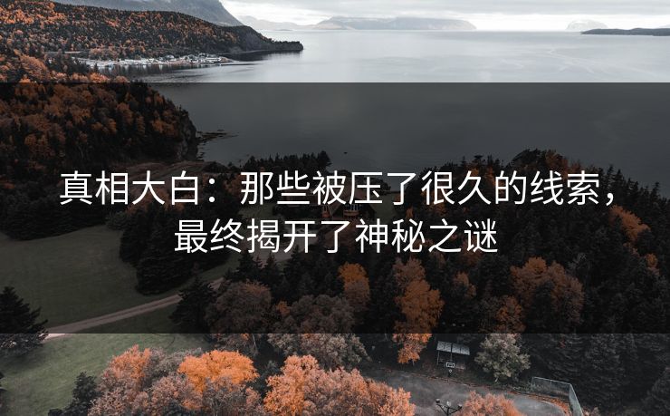真相大白:那些被压了很久的线索,最终揭开了神秘之谜 真相大白:那些被压了很久的线索,最终揭开了神秘之谜